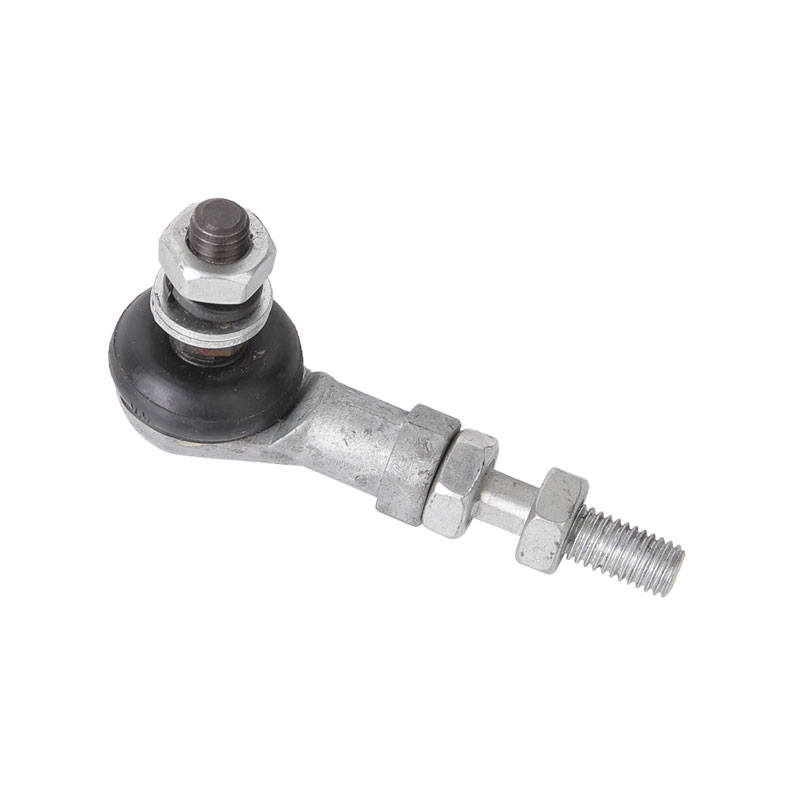 Rotula 0E6B0302